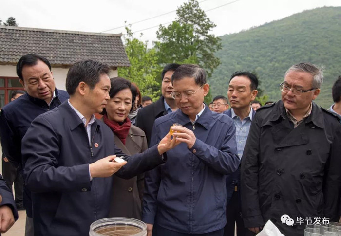 1524791399167198.jpg 郝明金在黔西縣花溪鄉(xiāng)鐘山村養(yǎng)蜂項目集中養(yǎng)殖點調(diào)研.jpg