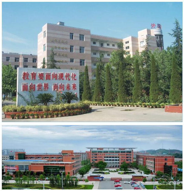 1562554086722582.jpg 6.jpg