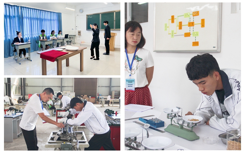 1655794916229598.jpg NeoImage_副本.jpg