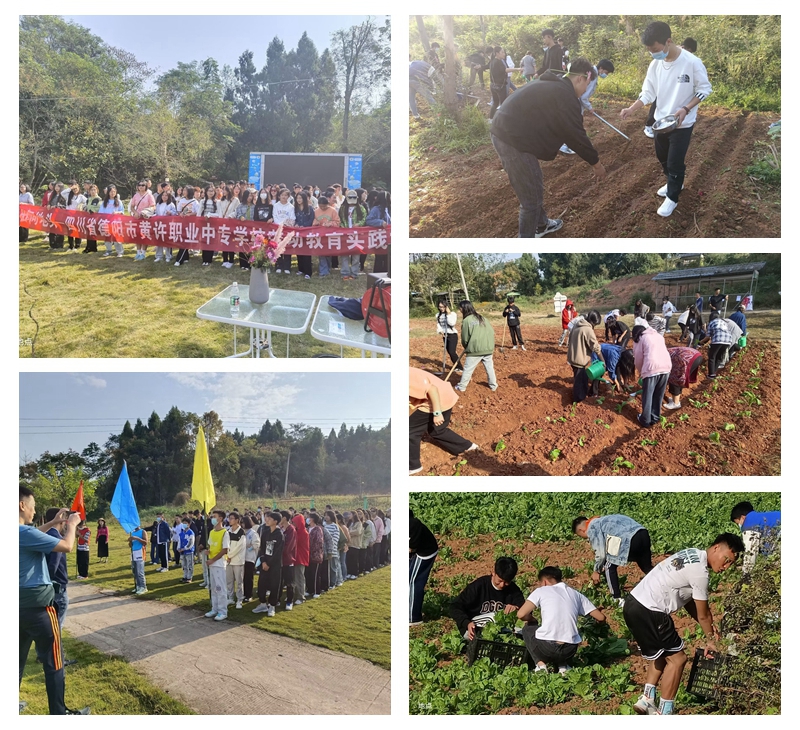 1666663228199091.jpg 黃許職中組織“9+3”學(xué)生參加勞動教育實(shí)踐活動.jpg
